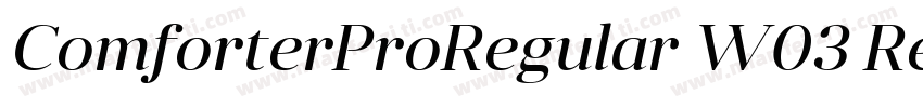 ComforterProRegular W03 Regular字体转换